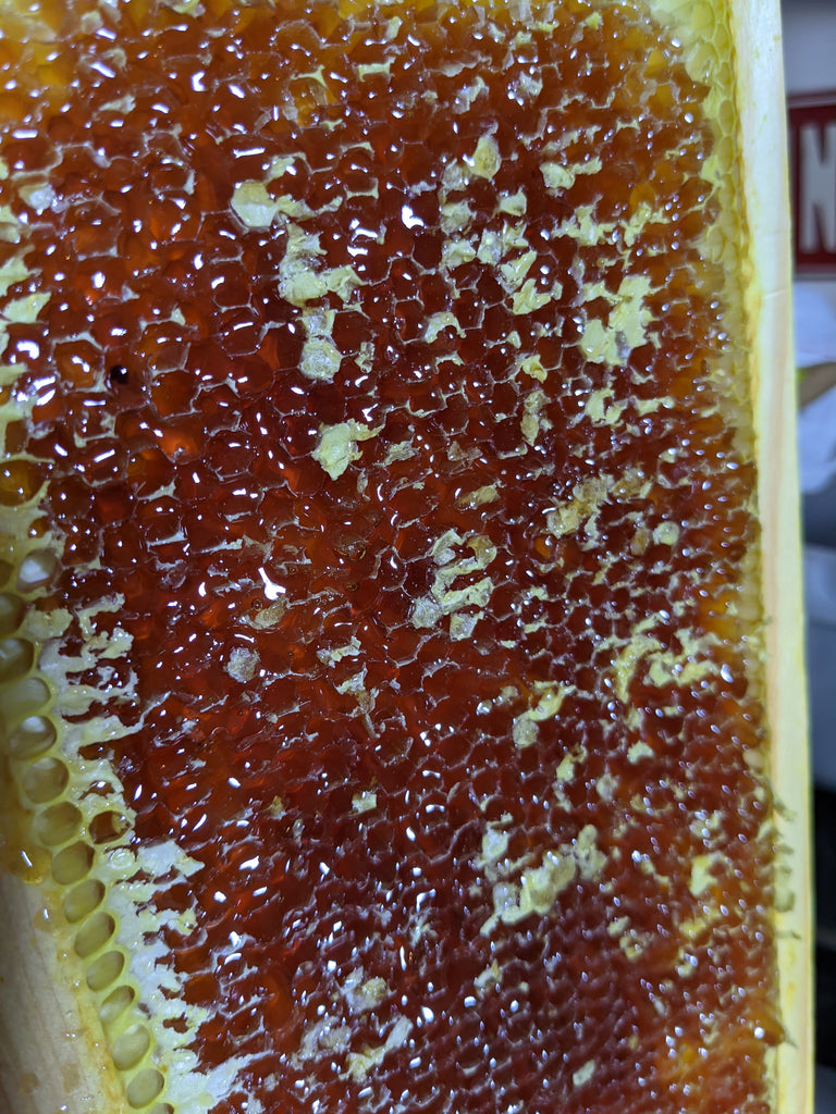 Our Second Honey Harvest